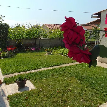 Krsevan Apartamento Nin